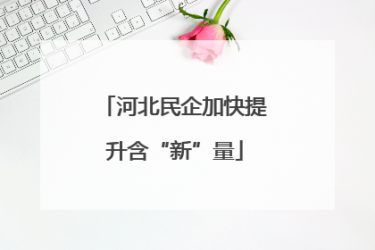 河北民企加快提升含“新”量